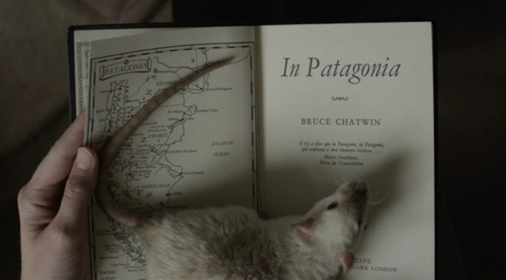 Liinu Grönlund's 'It Could Have Been'